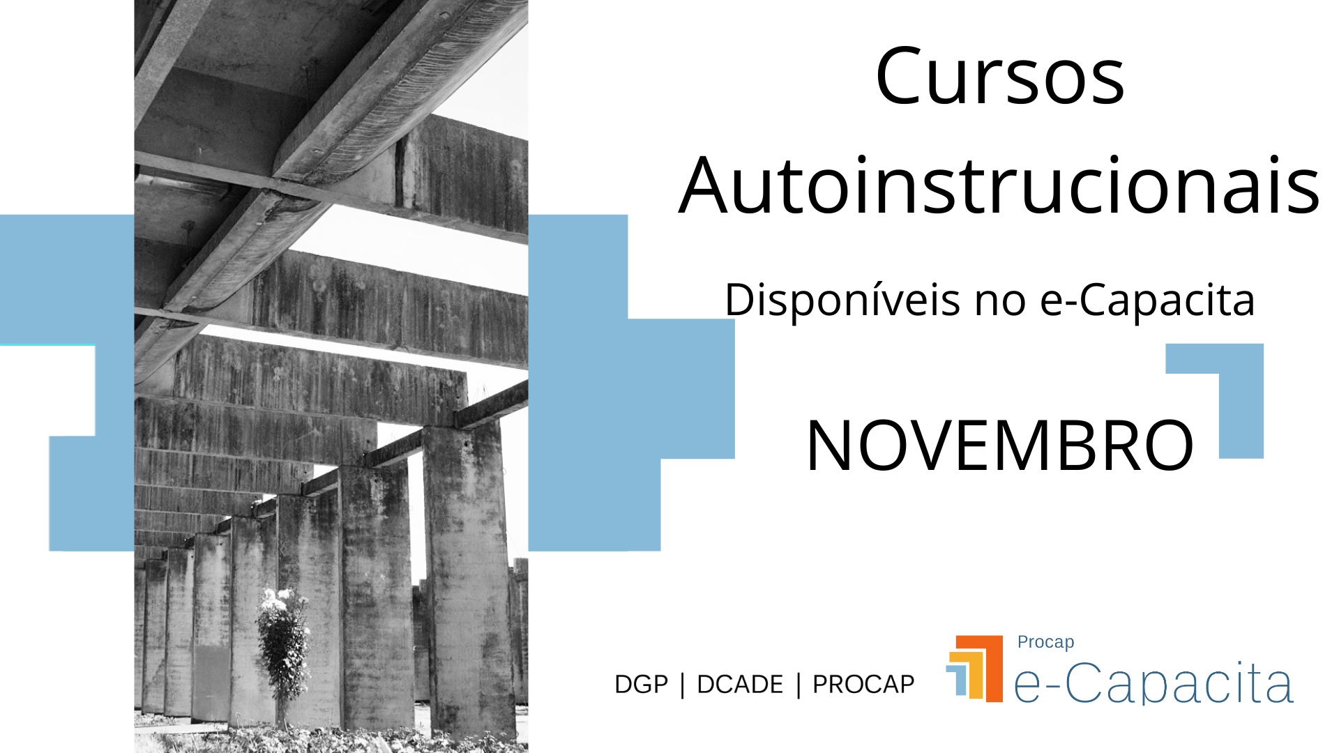 e-Capacita: cursos autoinstrucionais disponíveis em Novembro